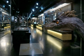 mobe orleans 8-2025 2605